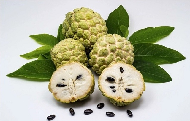 an-na-bao-nhieu-la-du-de-khong-lo-nong-trong-tang-can