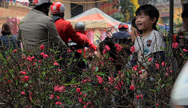 ha-noi-ban-hanh-ke-hoach-dam-bao-tet-nguyen-dan-an-toan