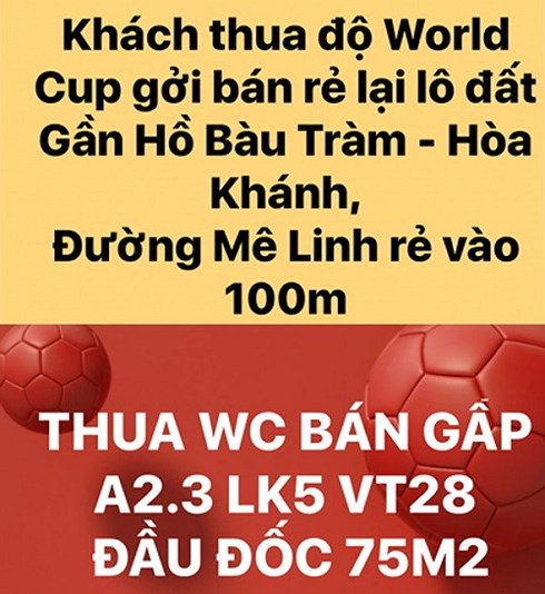 ban-nha-theo-world-cup-vhdn