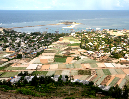 vhdn-dao-ly-son-1