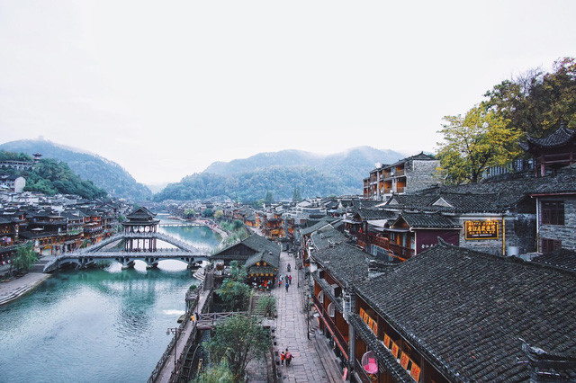 ve dep tien canh cua phuong hoang co tran giua trung hoa phon thinh hinh 3