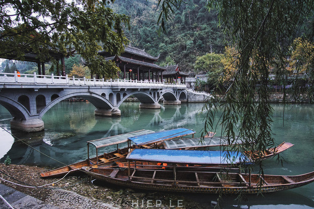 ve dep tien canh cua phuong hoang co tran giua trung hoa phon thinh hinh 4