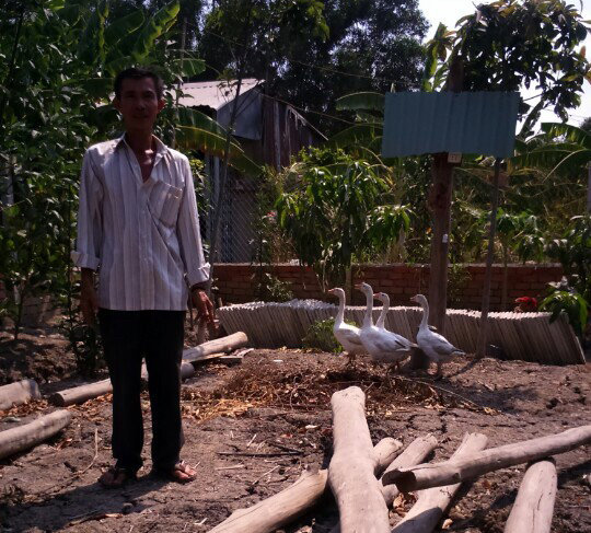 Ông Nguyễn Văn Bỉ cất chòi vịt cũng bị khởi tố