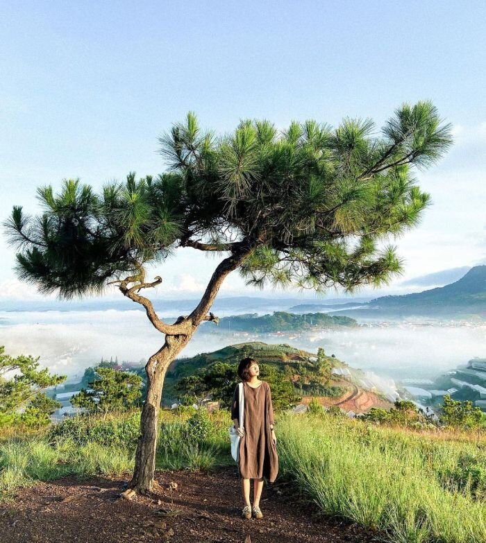 Đồi Thiên Phúc Đức – Đà Lạt. Ảnh: whereizhanhan