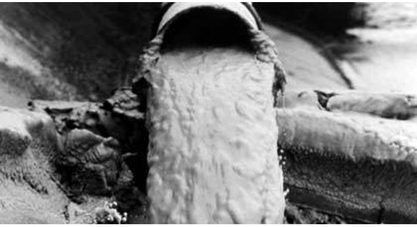 C&#225; chết ở miền Trung: Giật m&#236;nh sự kiện khủng khiếp vịnh Minamata