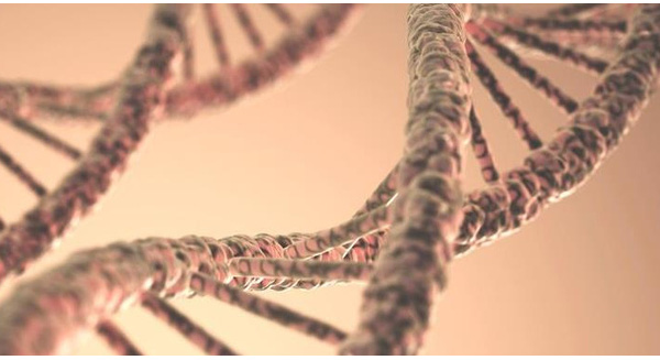 C&#225;c nh&#224; khoa học đang nghi&#234;n cứu gen &quot;si&#234;u nh&#226;n&quot; cho con người