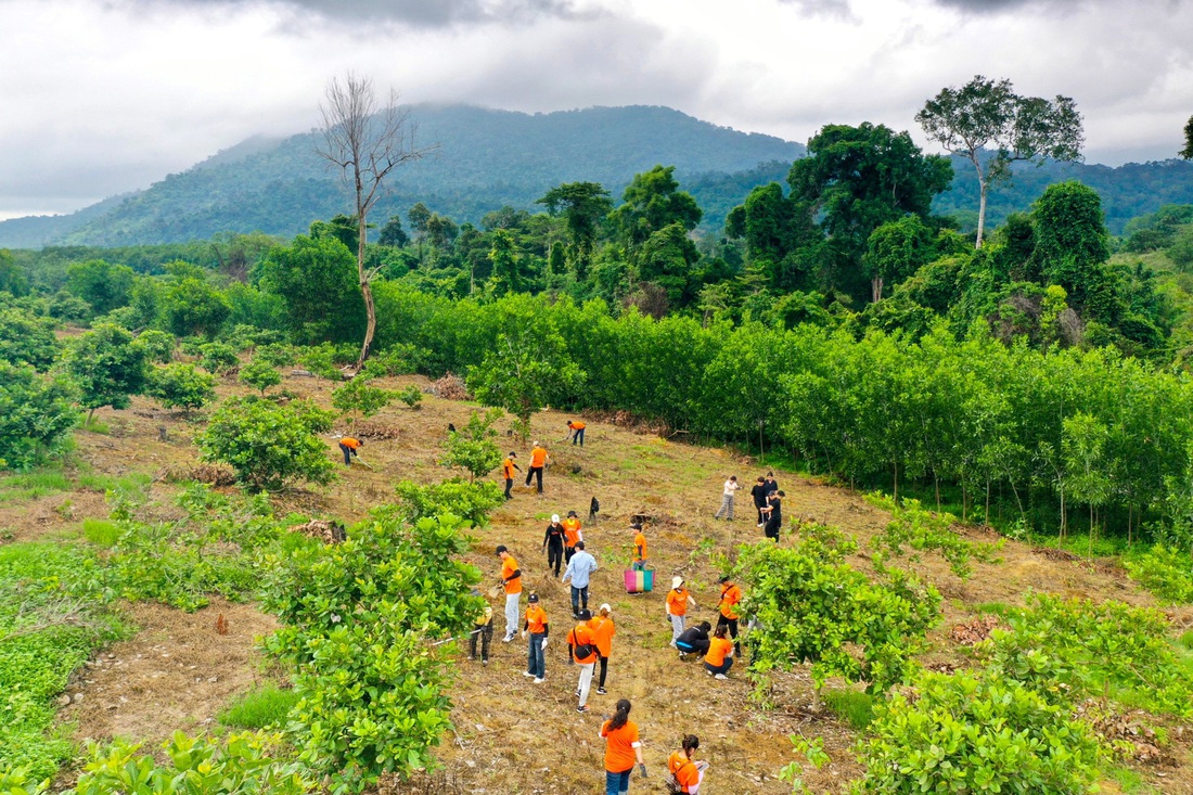 Các tình nguyện viên phân công, cùng nhau 