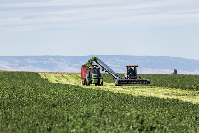 Amway Việt Nam đạt danh hiệu doanh nghiệp FDI phát triển nền kinh tế xanh bền vững- Ảnh 3.