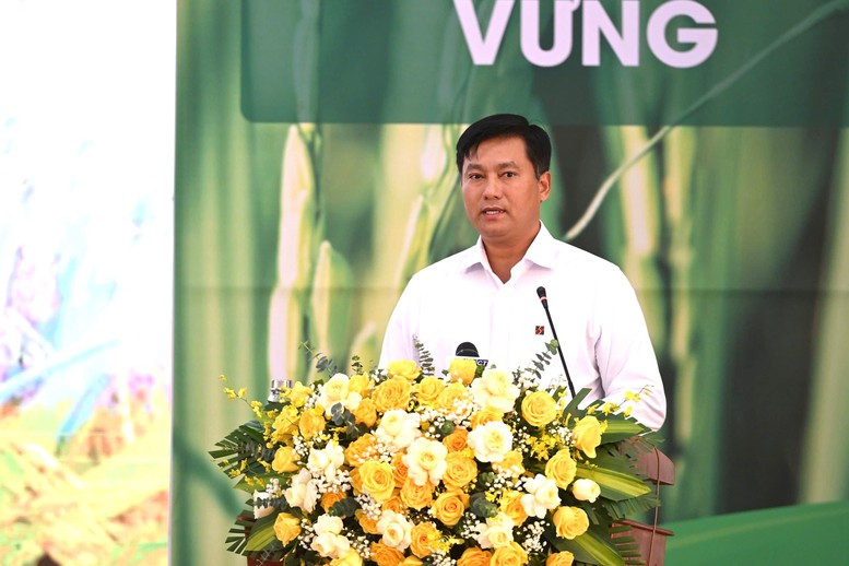 Triển khai đồng bộ giải pháp, hướng tới mục tiêu 1 triệu ha lúa chất lượng cao- Ảnh 3.